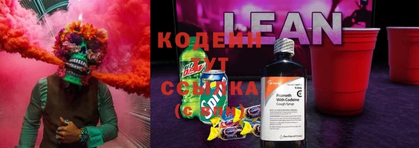 ПСИЛОЦИБИНОВЫЕ ГРИБЫ Семёнов