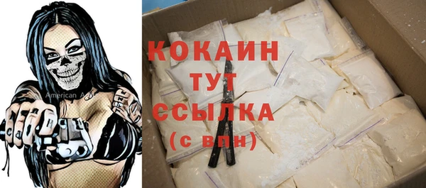 apvp Богородицк