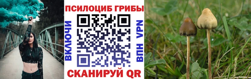 Псилоцибиновые грибы Magic Shrooms  Ува 